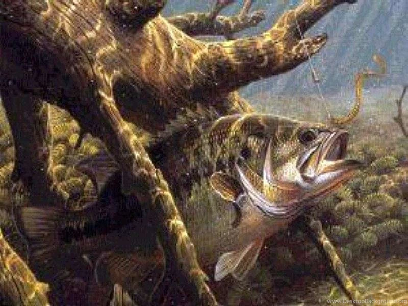 Dan's Fishin Hole Desktop Themes Home Page