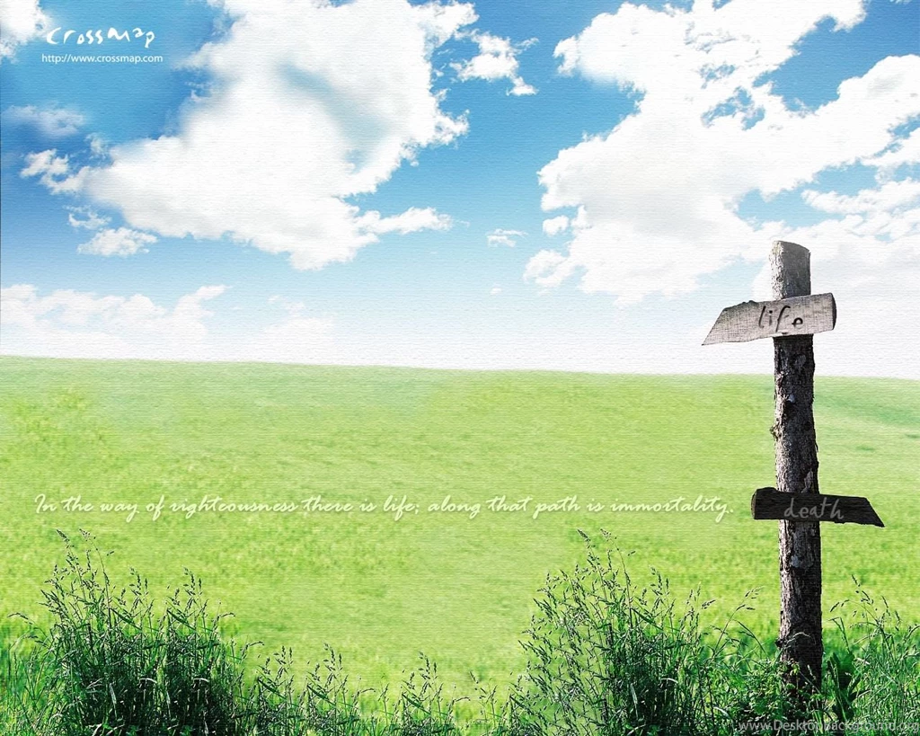 Field Of The Imortality Wallpapers   Christian Wallpapers And ...