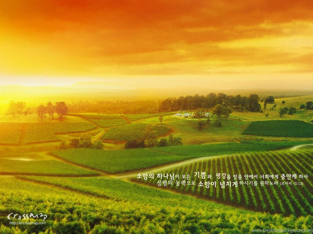 Wallpapers Crossmap .4 1024x768