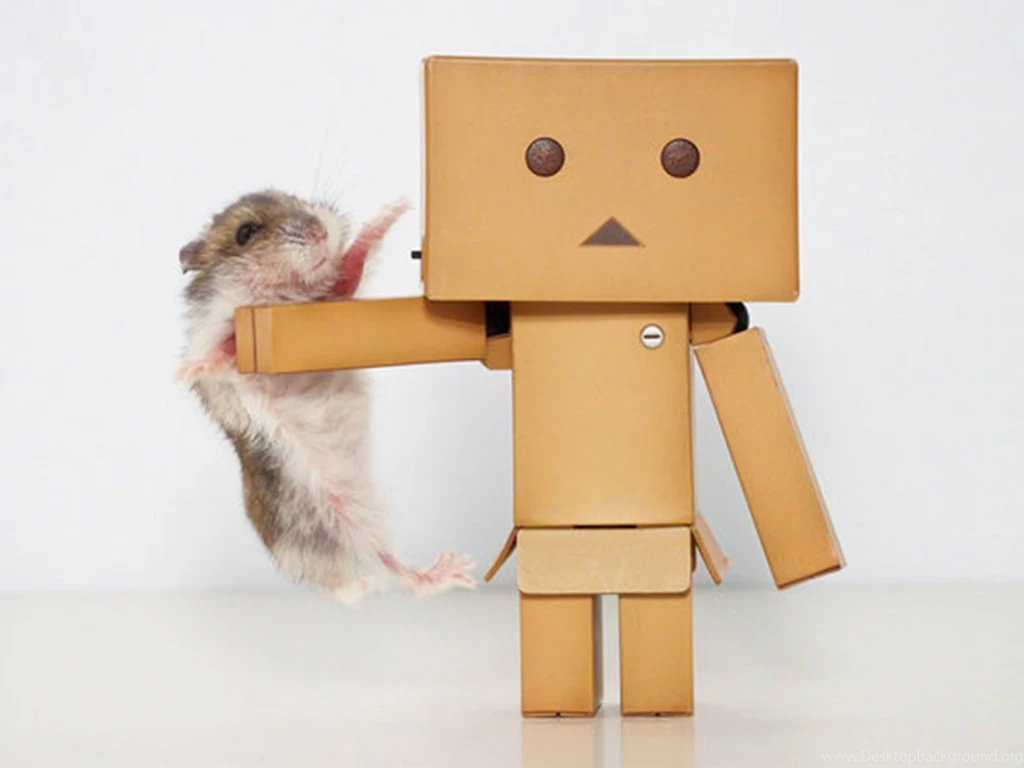 Cute Hamster 1400x1050 Wallpapers, 1400x1050 Wallpapers & Pictures ...