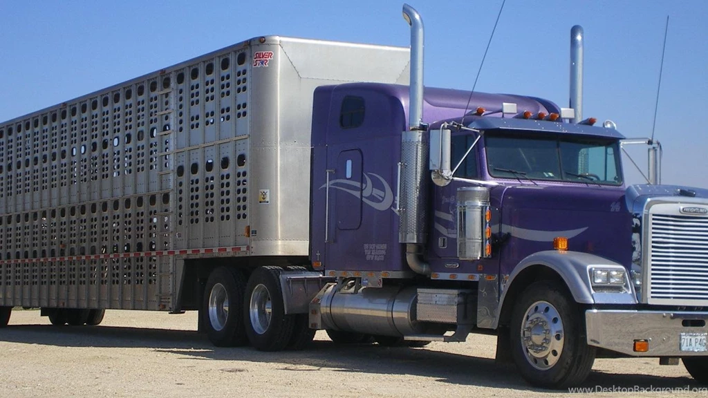 Wallpapers Trucking Vehicle Freightliner Classic Truck 1366x768 ...