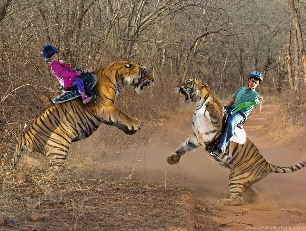 Funny backgrounds for photoshop 3 Best For Desktop HD Wallpapers