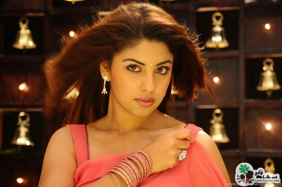 ACTRESS RICHA GANGOPADHYAY RICHA GANGOPADHYAY LATEST IMAGES ...