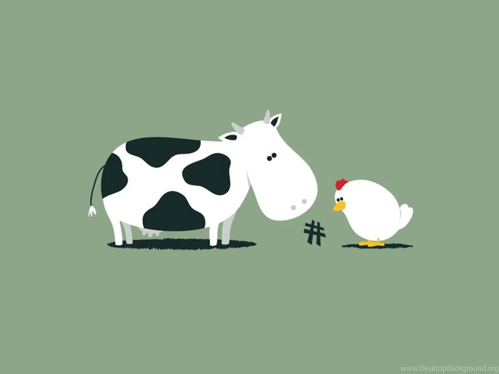 CrunchBang Linux HD Wallpapers Widescreen 1024x768