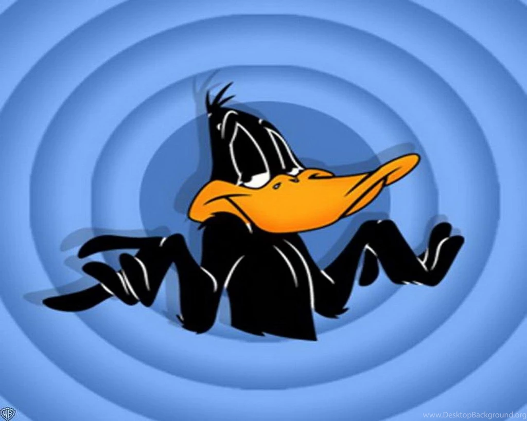 Looney Tunes   Daffy Duck Wallpapers   HD Wallpapers 7875