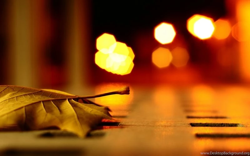 Bokeh Photography Wallpapers