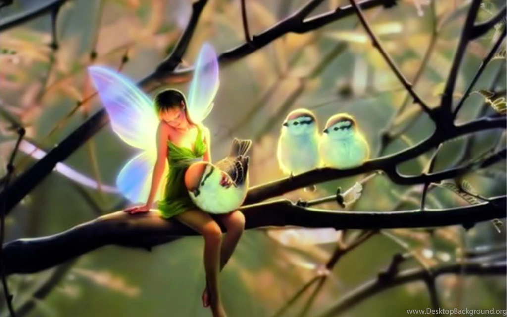 Fairy&Birds Fairies Wallpapers (30632290) Fanpop