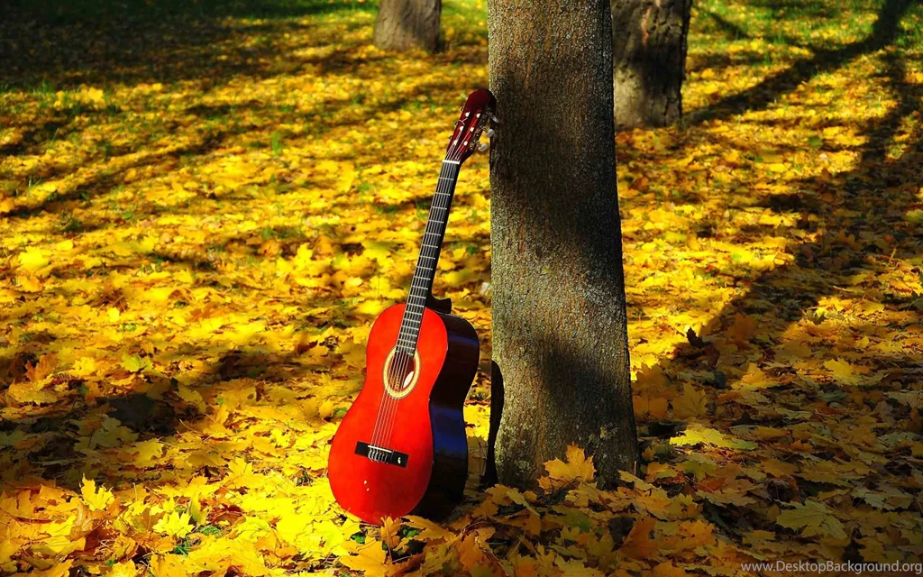 New Hd Wallpapers Download Collection (36+)