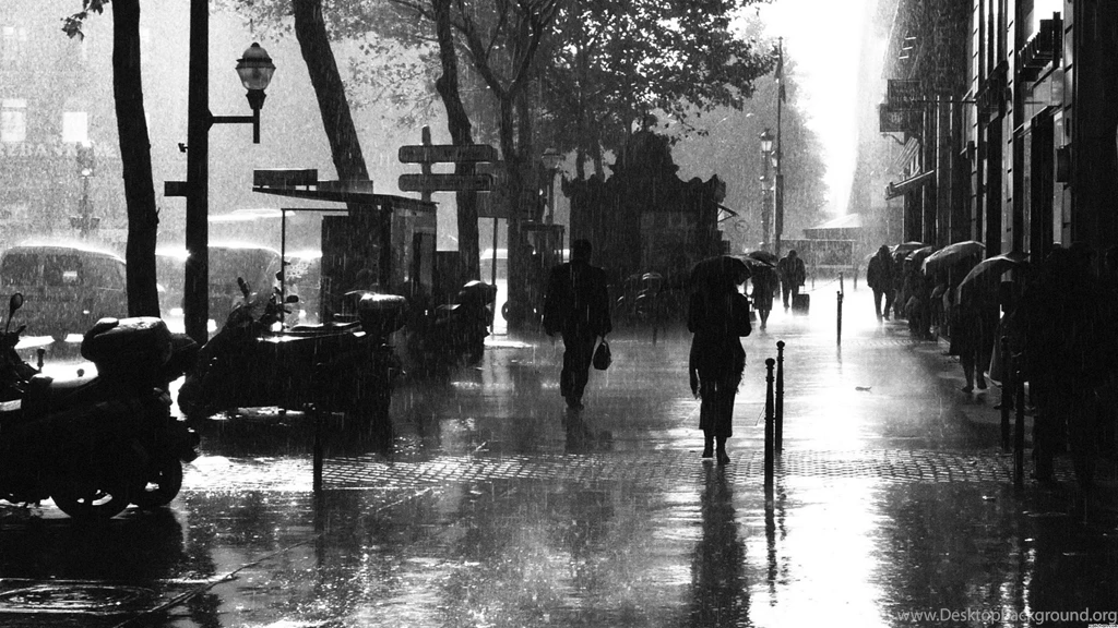 Black And White Night In Paris