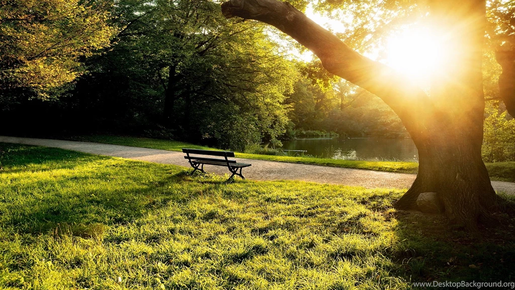 1920x1080 City Park Bench Sunset Wallpapers