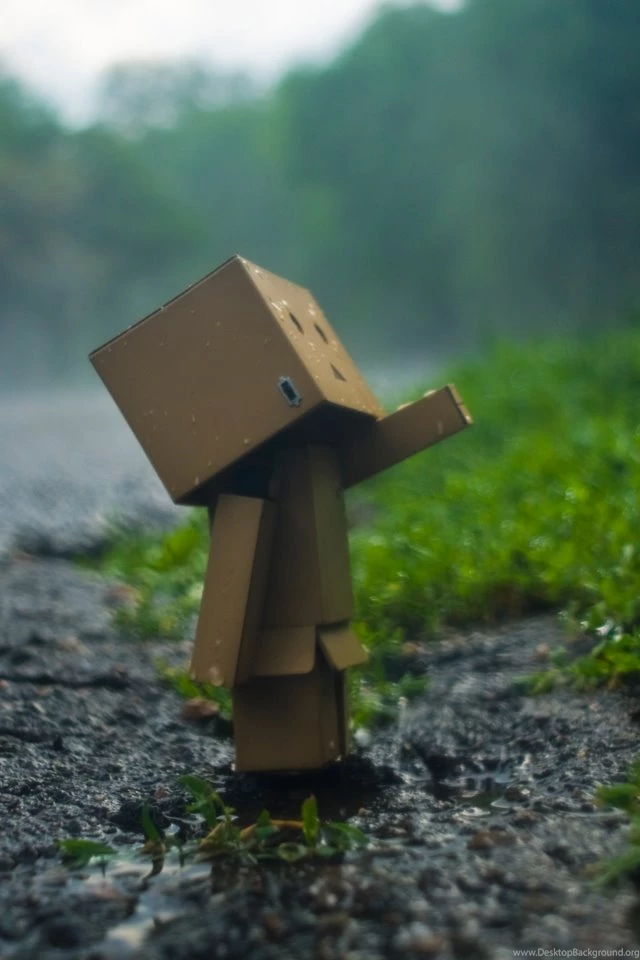 Danbo The Box Man