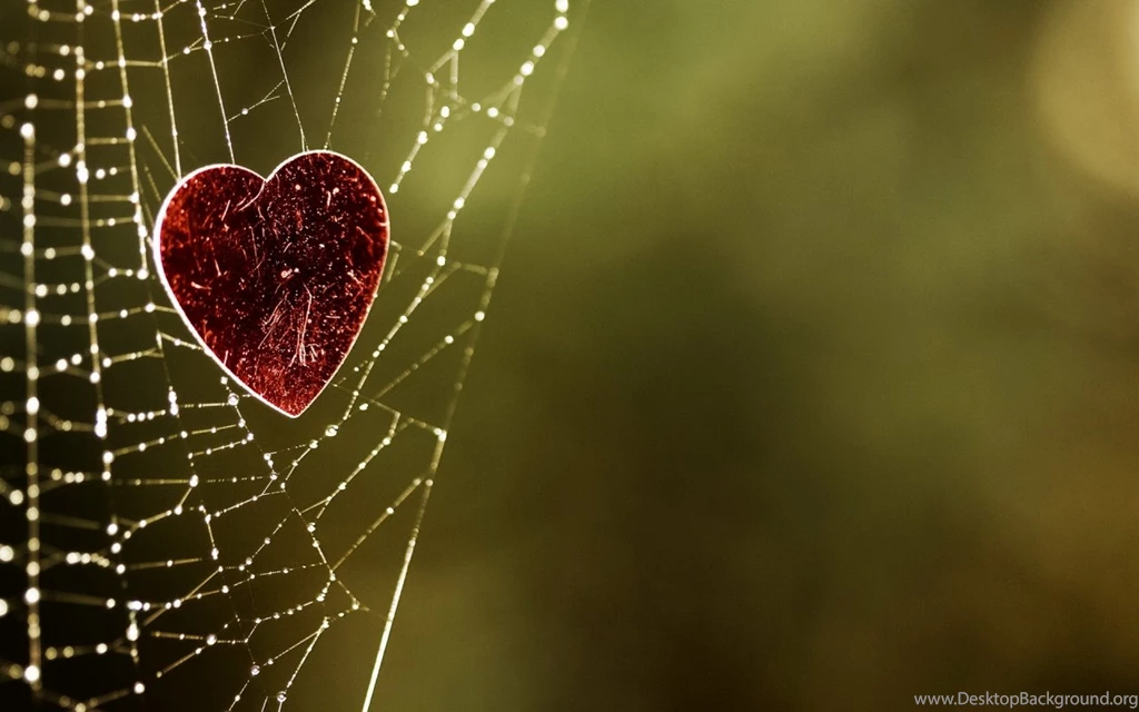 Unduh 4000 Koleksi Background Hd Love Images Terbaik