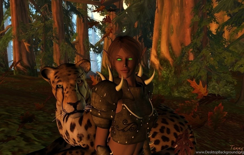 Blood Elf Hunter By Shayln On DeviantArt