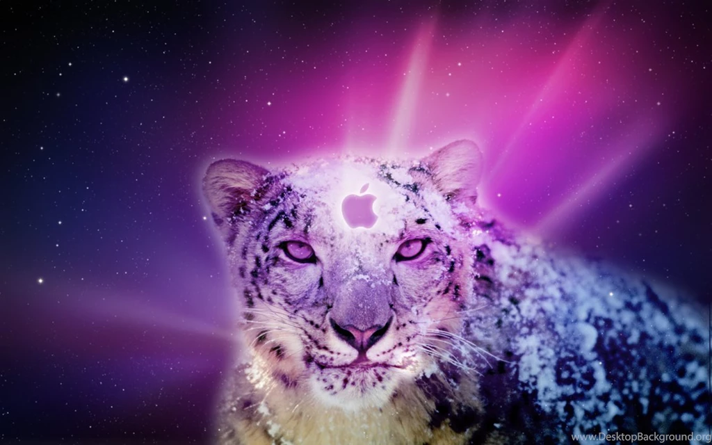 Leopard Backgrounds Mac, Wallpaper, Leopard Backgrounds Mac Hd ...
