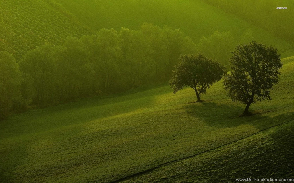 Wallpapers Wide Stay002