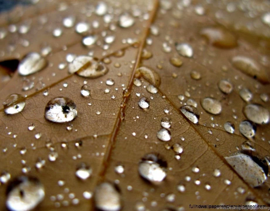 Wallpapers For Kindle Fire Hd
