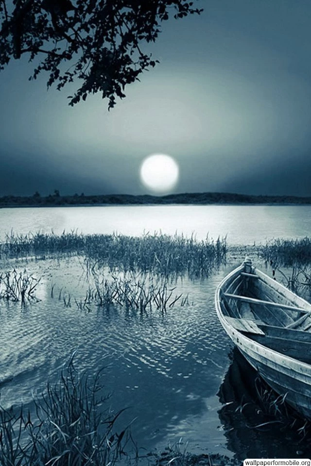 Best Wallpapers In The World Free Download Wallpapers For Mobile