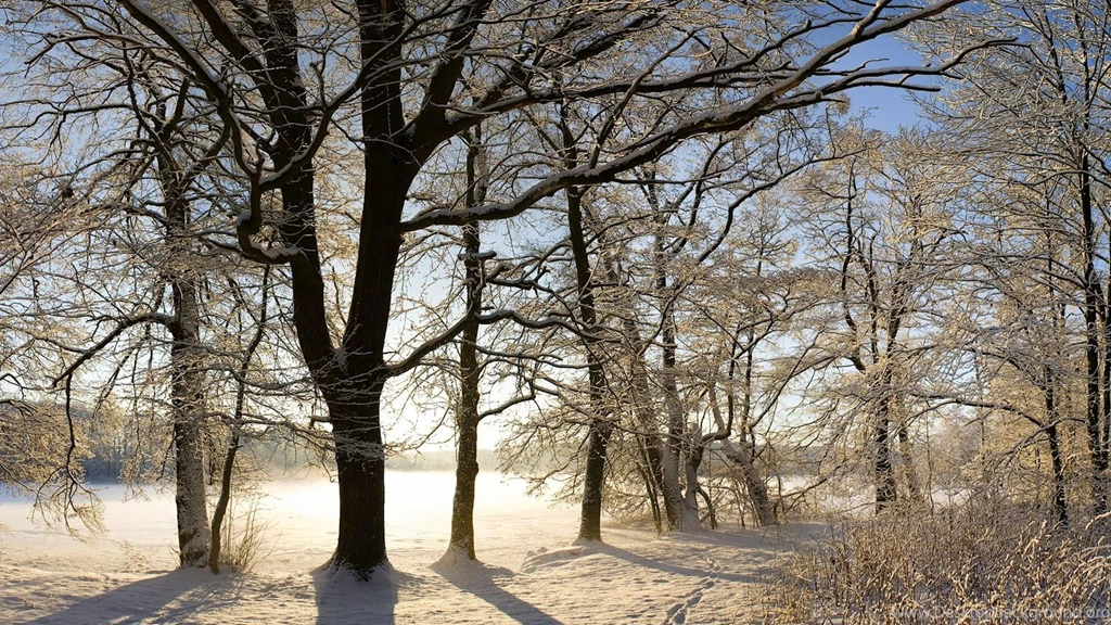 Scenic Winter HD PC Wallpapers 5835   Amazing Wallpaperz