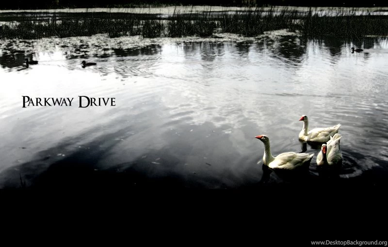 Parkway Drive Wallpaper, Picture, Photo, Image