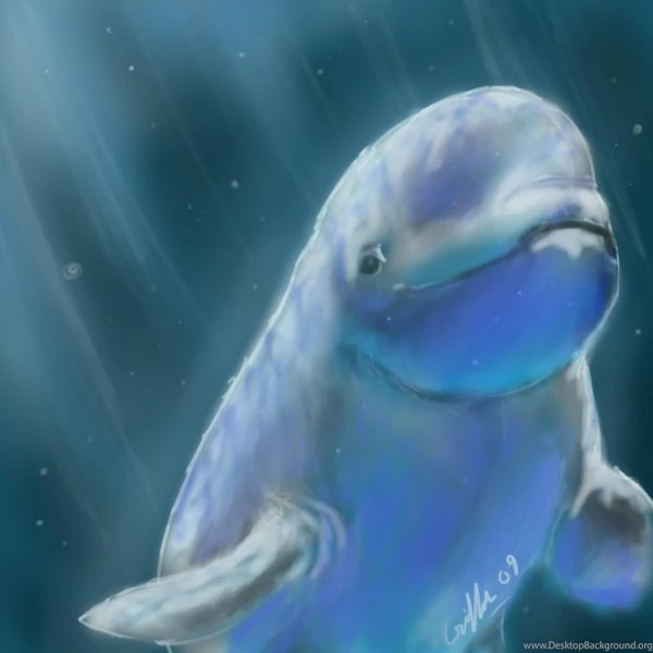 Beluga Whale By SilverFlight On DeviantArt
