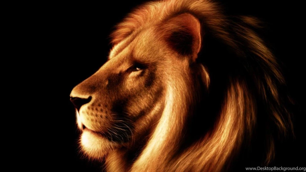 LEO THE LION WALLPAPER   (