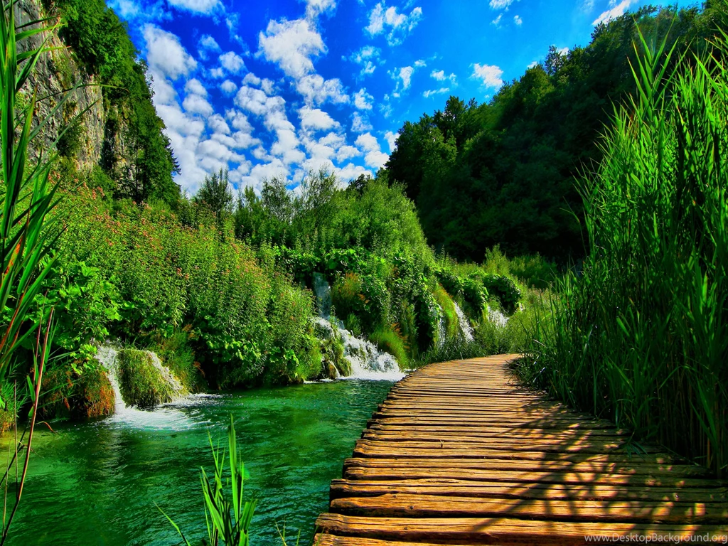 Green Nature Desktop Backgrounds