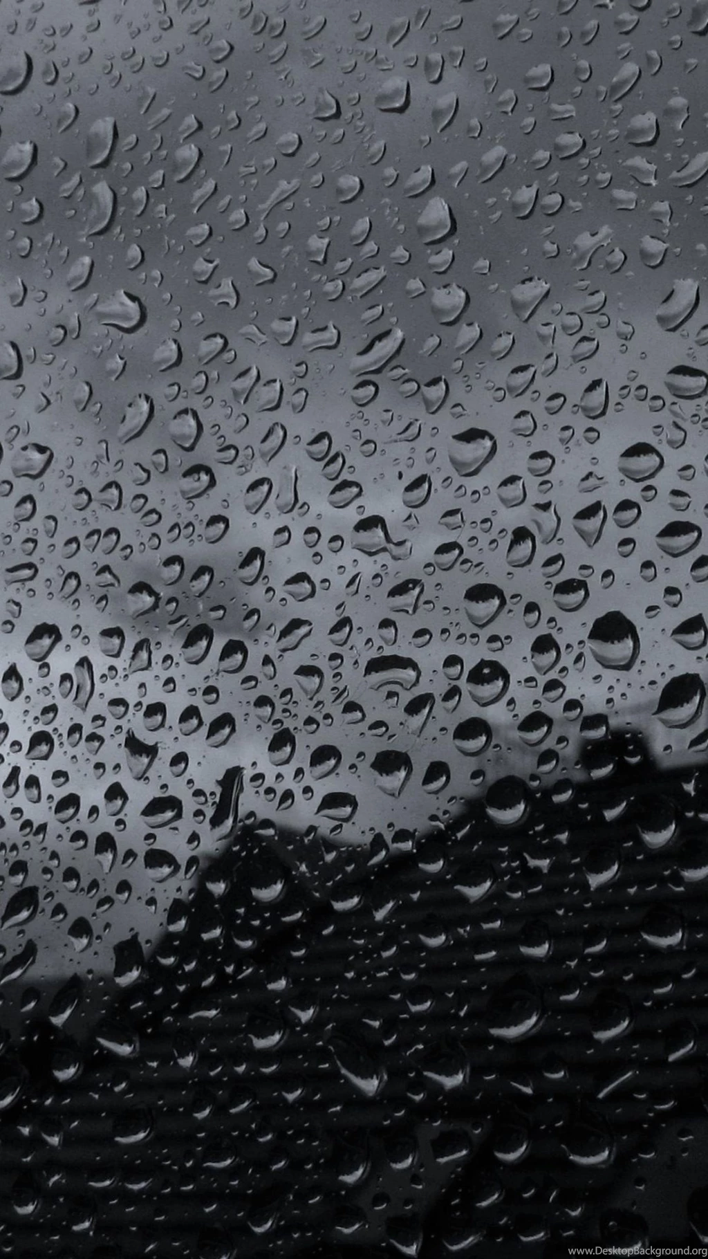 Drops On Glass Black And White Android Wallpapers Free Download