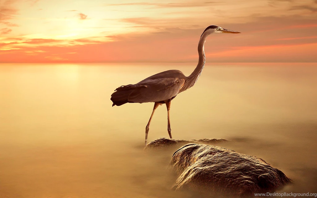 Hiron Computer Wallpapers, Desktop Backgrounds