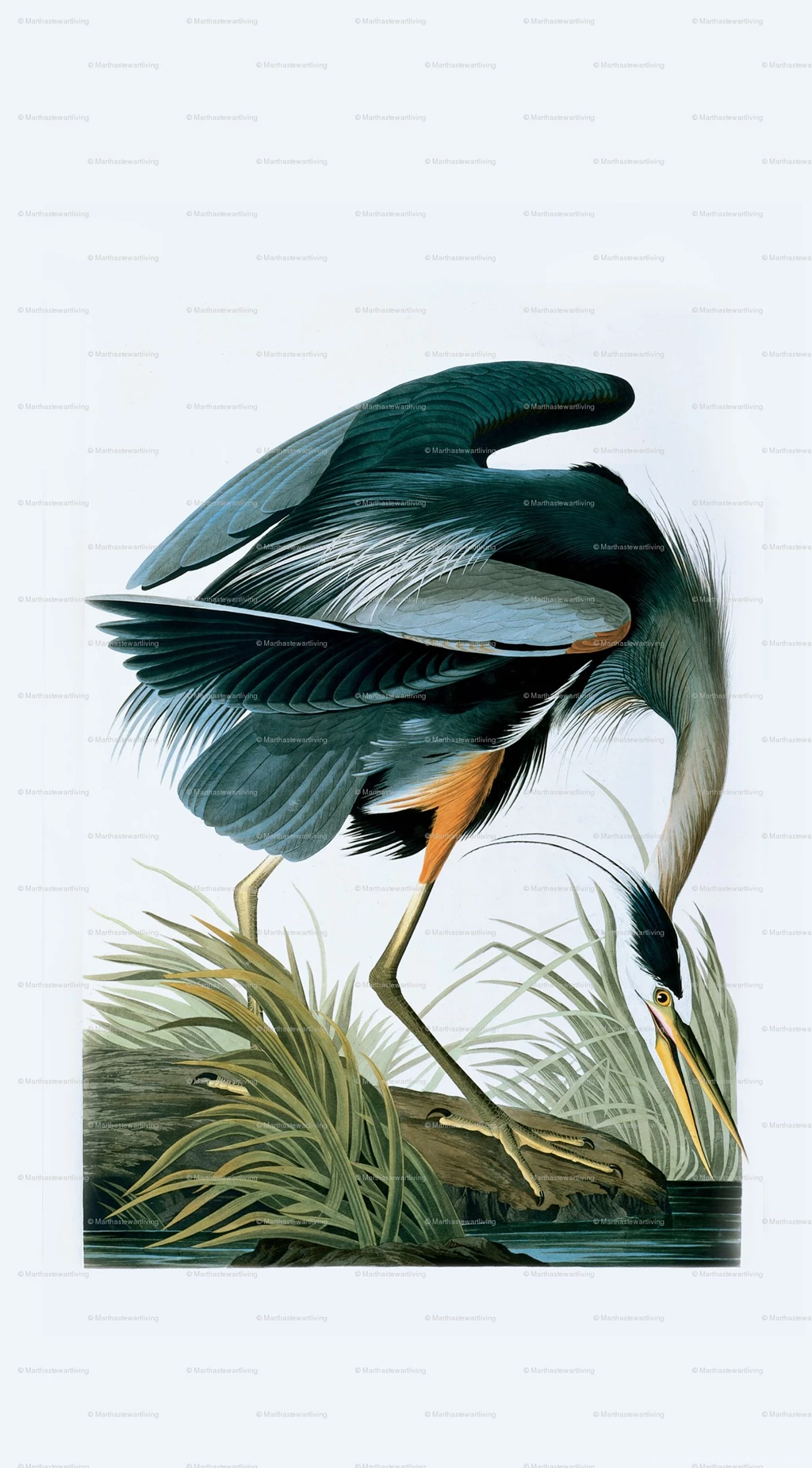 Heron Fabric, Wallpapers & Gift Wrap   Spoonflower