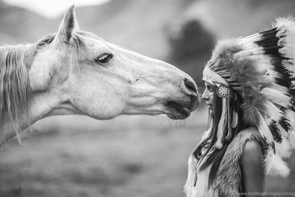 Desktop Native American Wolf Pics Wallpapers 3d Hd Pictures.