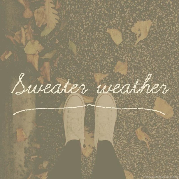 Autumn, Background, Colourful, Converse, Cute, Fall, Fashion ...