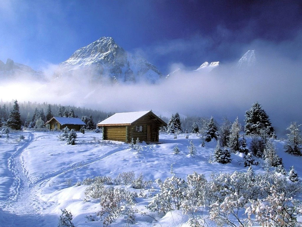 Download Desktop Backgrounds Wallpapers