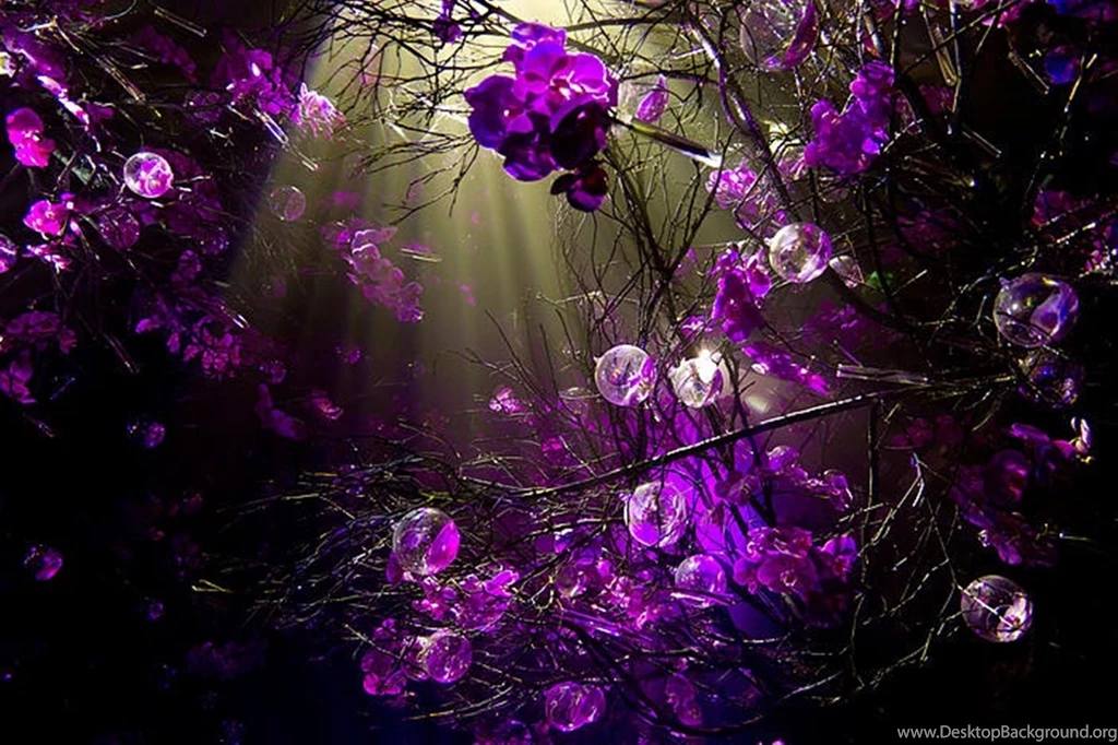 22 Purple Sprigs Desktop Backgrounds Wallpapers :: Purple Desktop ...