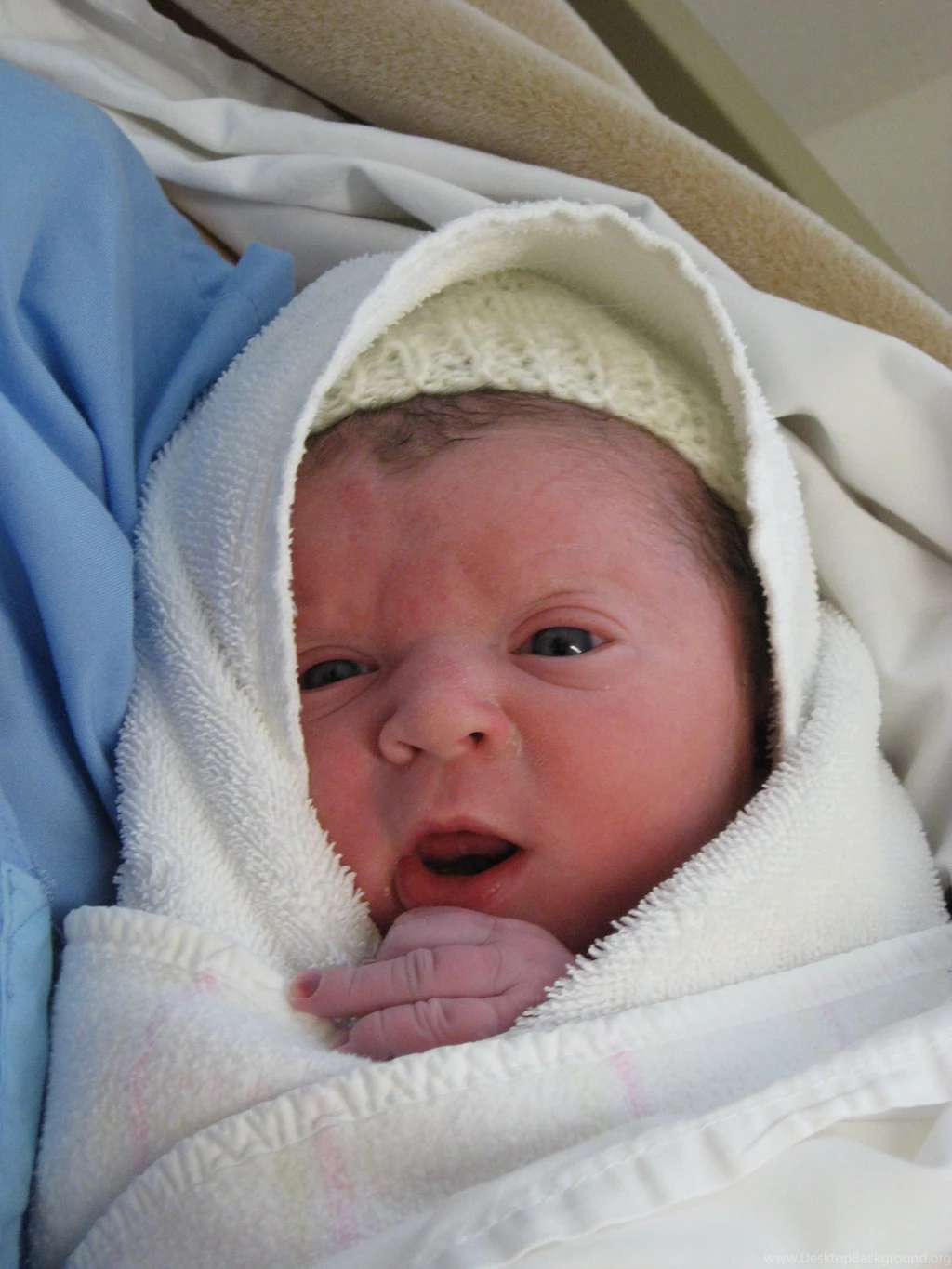 Cute Newborn Baby Boy Newborn Baby Pictures   3D Wallpapers HD ...