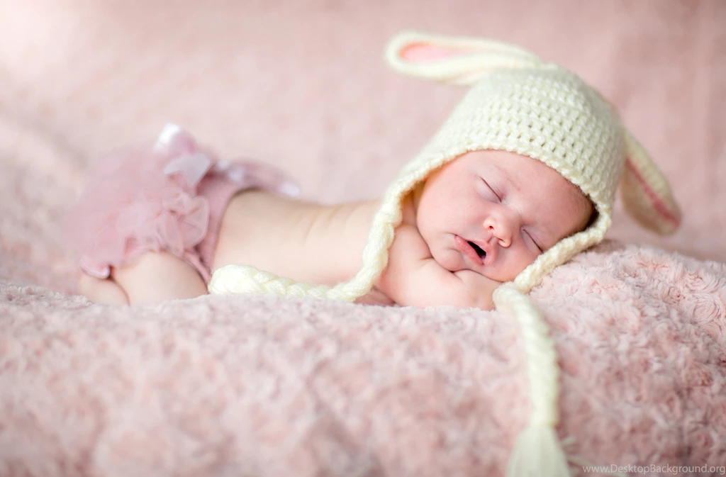 Beanie, Baby, Sleeping, Newborn, Animal Fur, Lovely, Picture