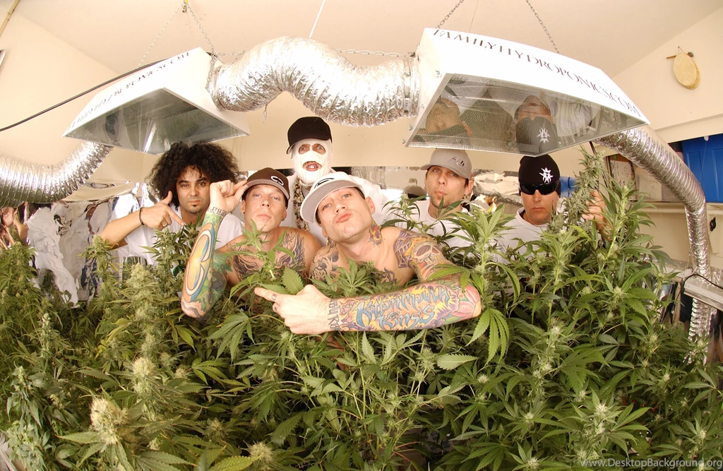 KOTTONMOUTH KINGS Rap Rapper Hip Hop Marijuana Drugs 420 Wallpapers ...