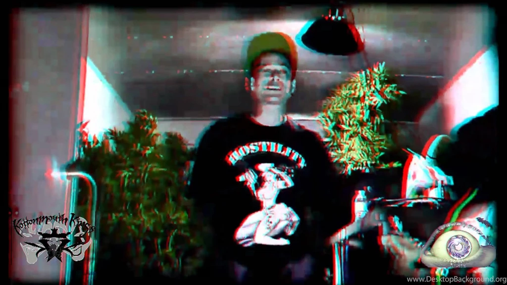 Kottonmouth Kings In My Garden 3D   YouTube