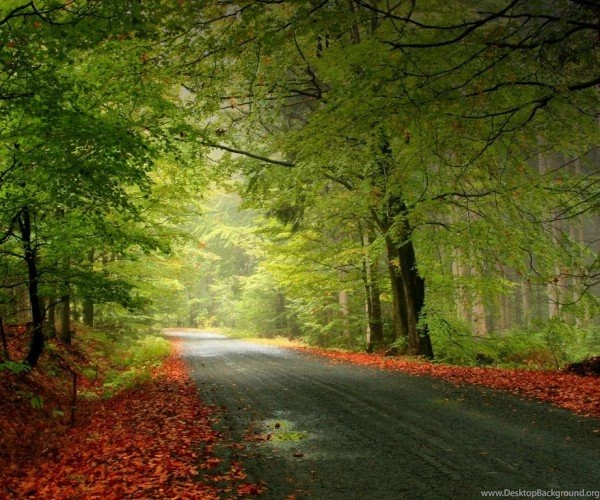 3D Nature Wallpapers