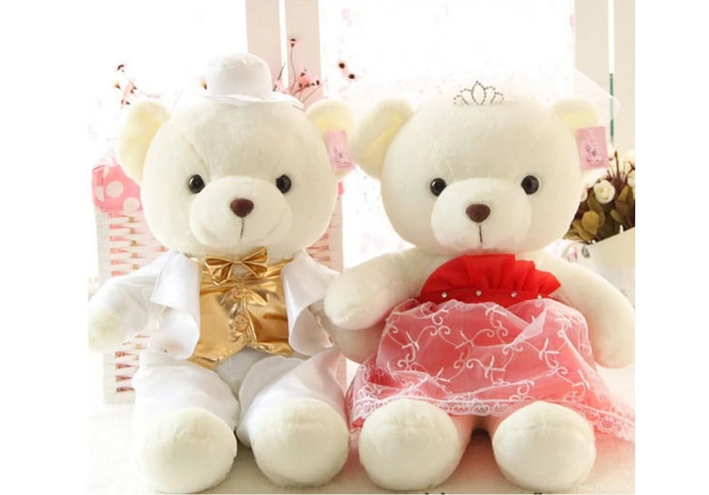 very cute teddy