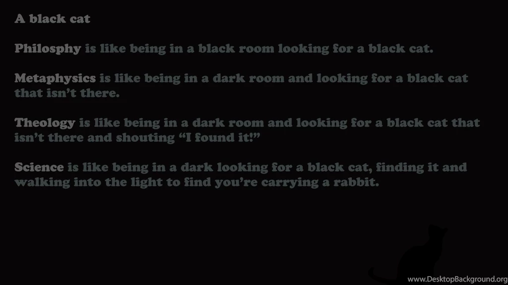 Black Cat (1366x768) : Wallpapers