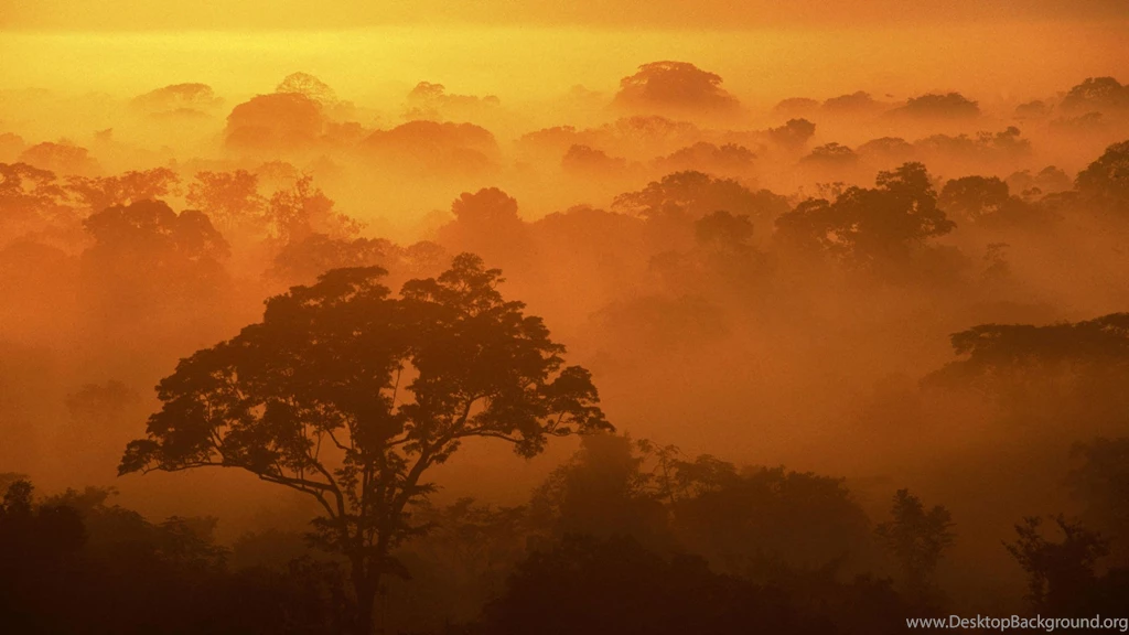 Wallpapers Sunrise African Trees Natural 1920x1080