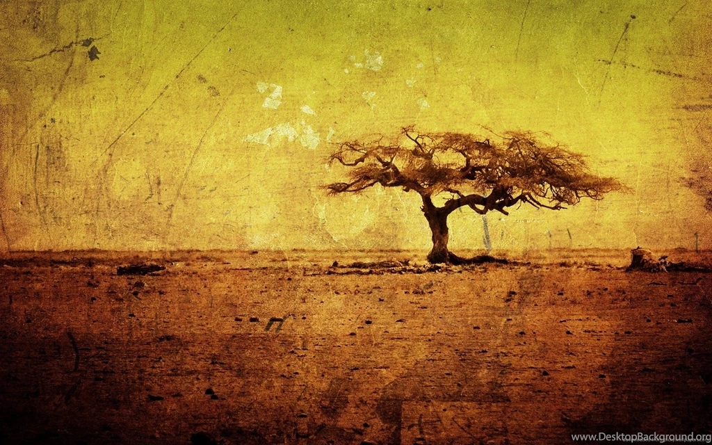 Download 1680x1050 African Tree Illustration Wallpapers