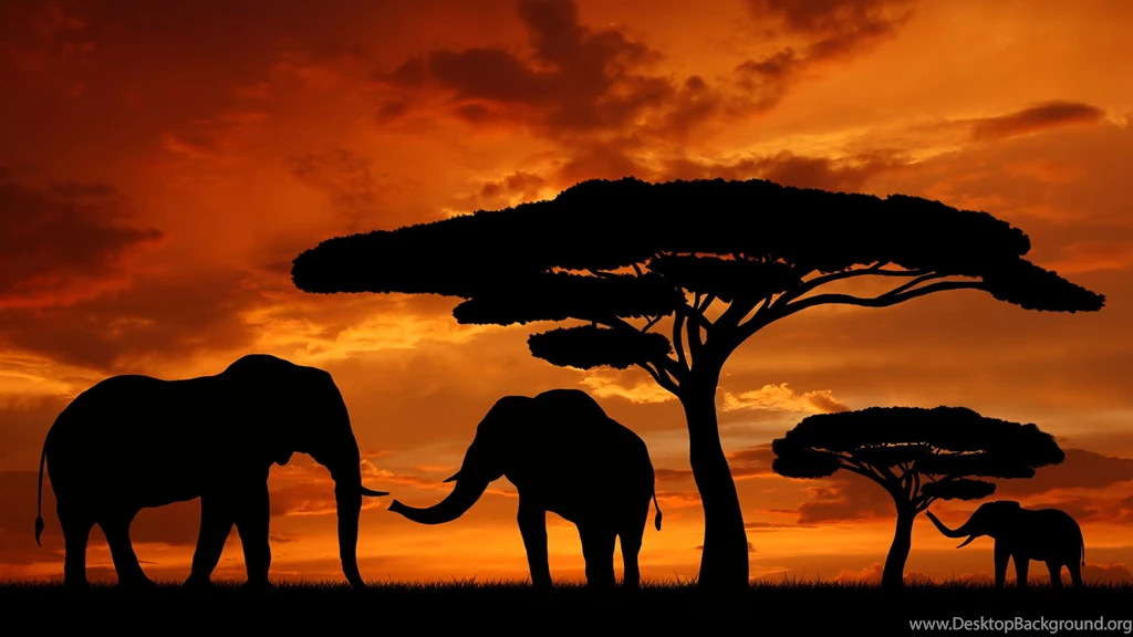 African Sunset Wallpapers