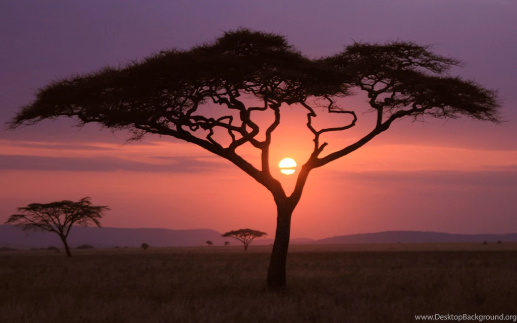 African Sunset Wallpapers