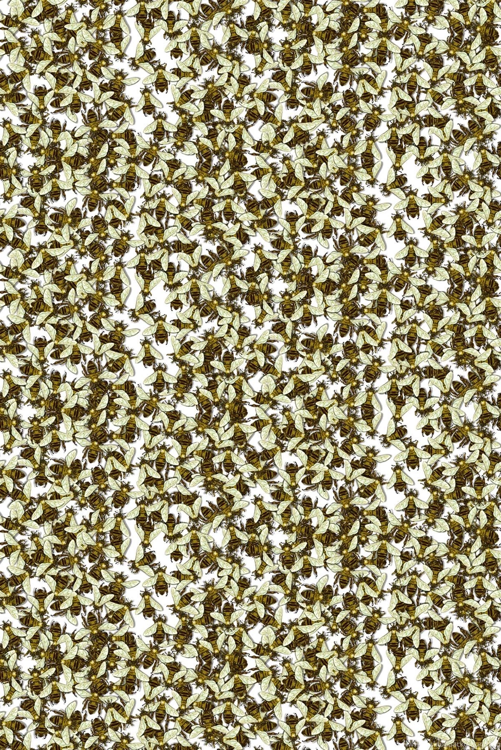 Timorous Beasties Wallcoverings Wild Honey Bee Allover Wallpapers