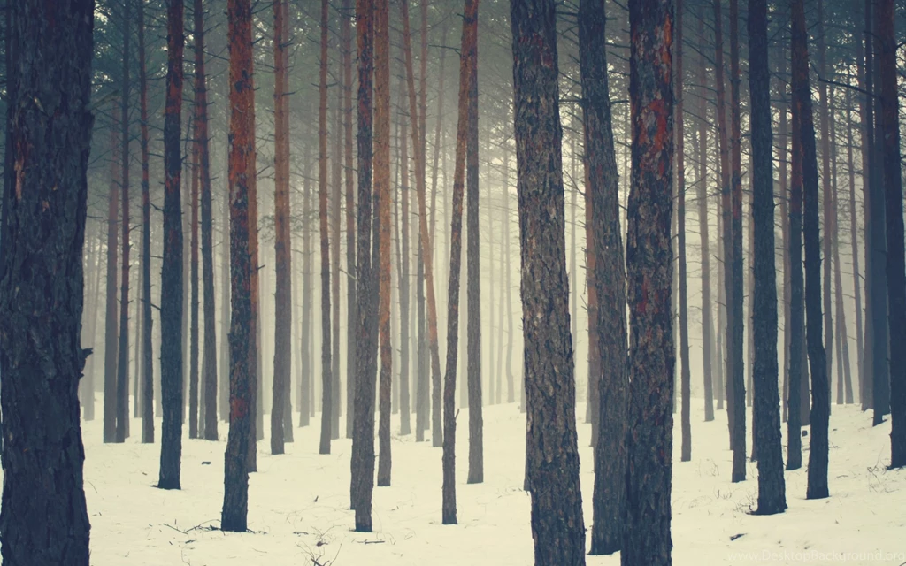 Cool Sweden Wallpapers : Wallpapers