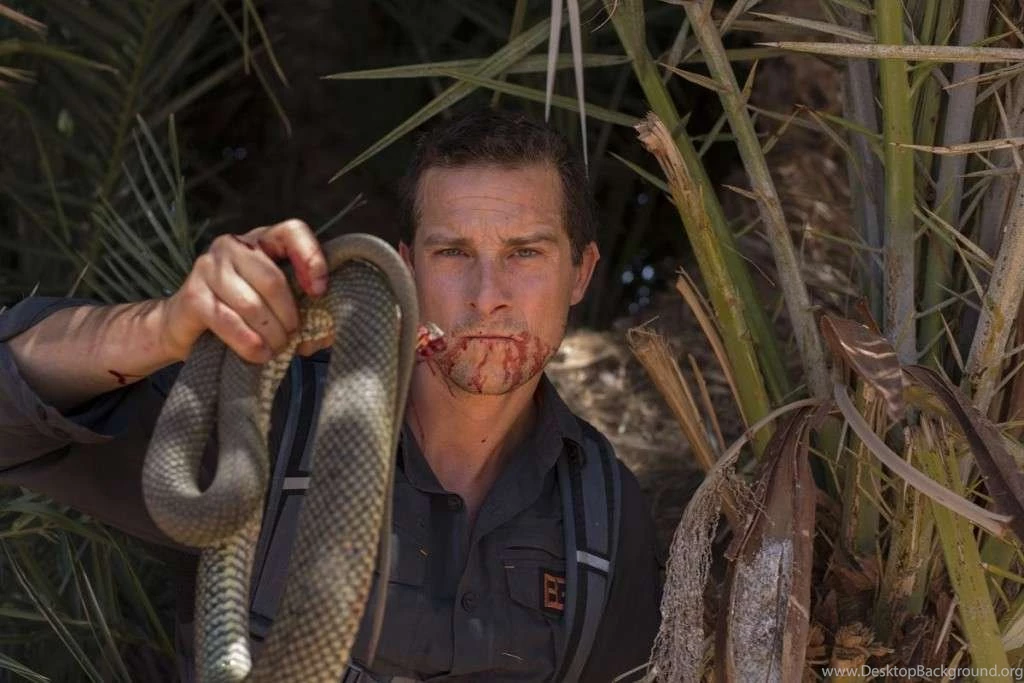 Bear Grylls HD Wallpapers Download