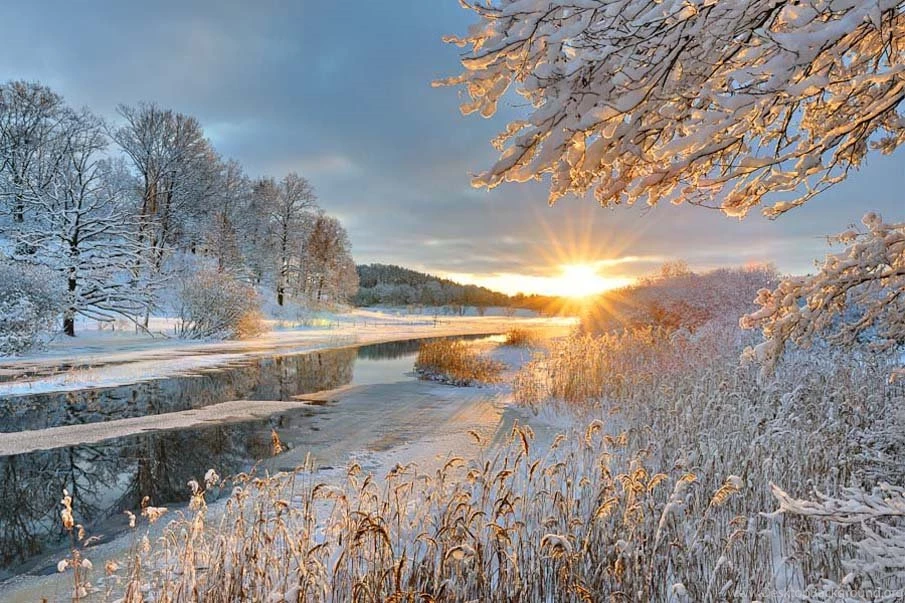 Wallpapers For You: Sweden