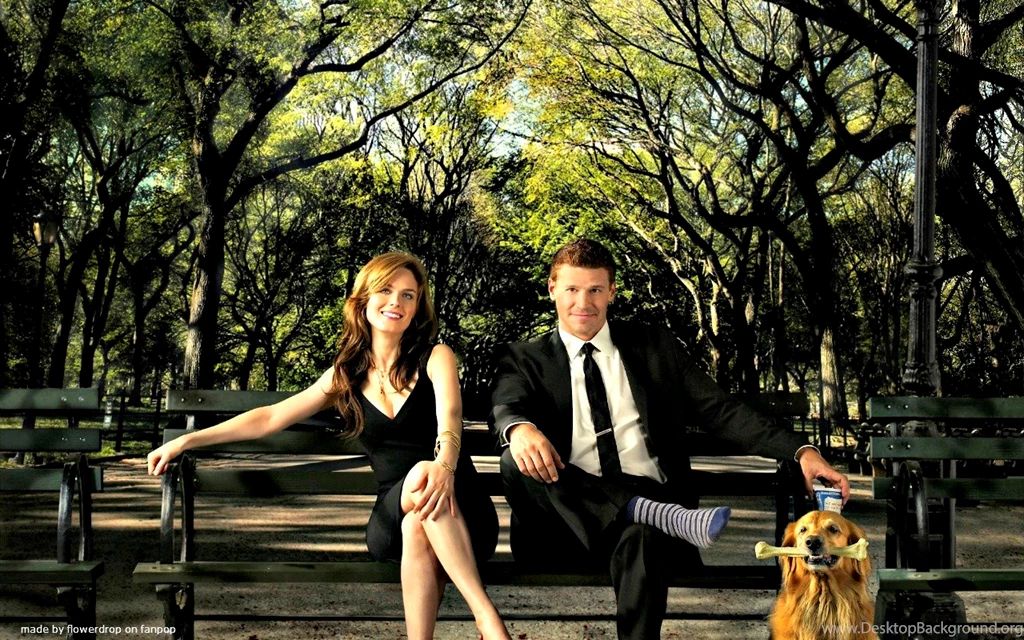 Bones Wallpapers   Bones Wallpapers (30636213)   Fanpop