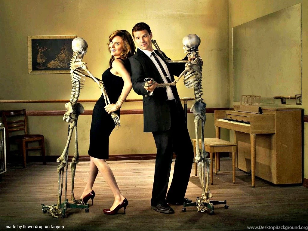 Bones Wallpapers   Bones Wallpapers (30636198)   Fanpop